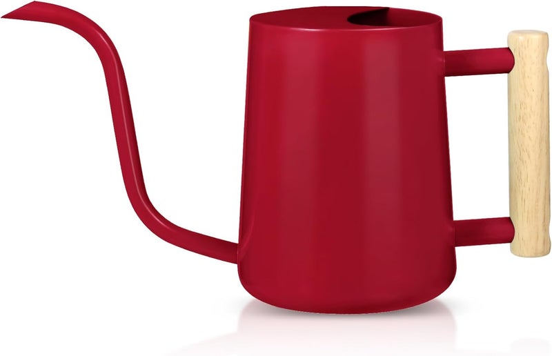 GUKJOB Watering Can Indoor Plants, 35oz Small Stainless Steel Metal Watering Can Modern Decorative Watering Pot with Long Spout for Indoor House Plant Bonsai Garden Flowers (Red) - Image 1